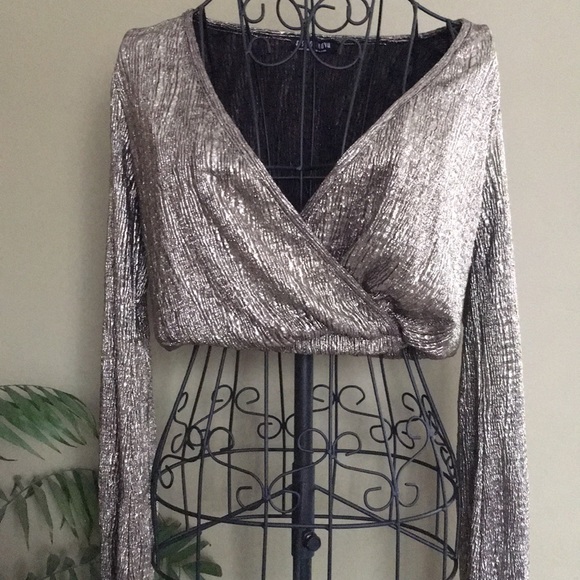 🥀DONATING 12/30 Long Sleeve Metallic Crop Top Deep V - Picture 3 of 7